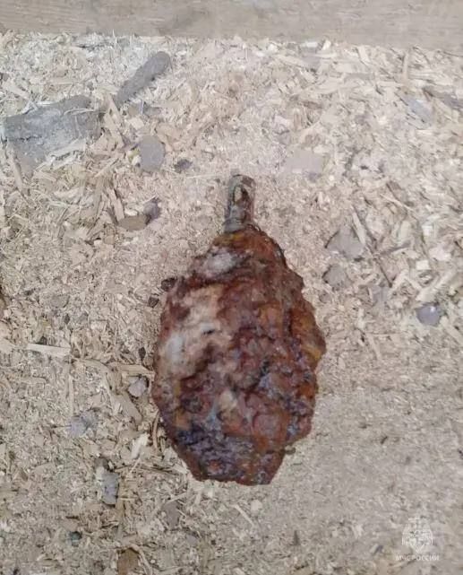 � ��������� ������ ����������� ��������� ������ ������� �������������