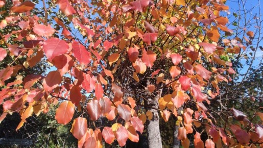 ������� �������: ����� ����� ����� ������?