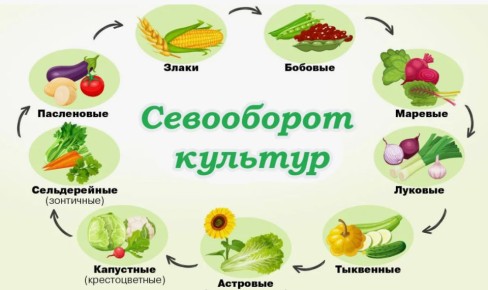 ��� ������� ��������� ���� ������ �� 2026 ���, �� �������� � ����������