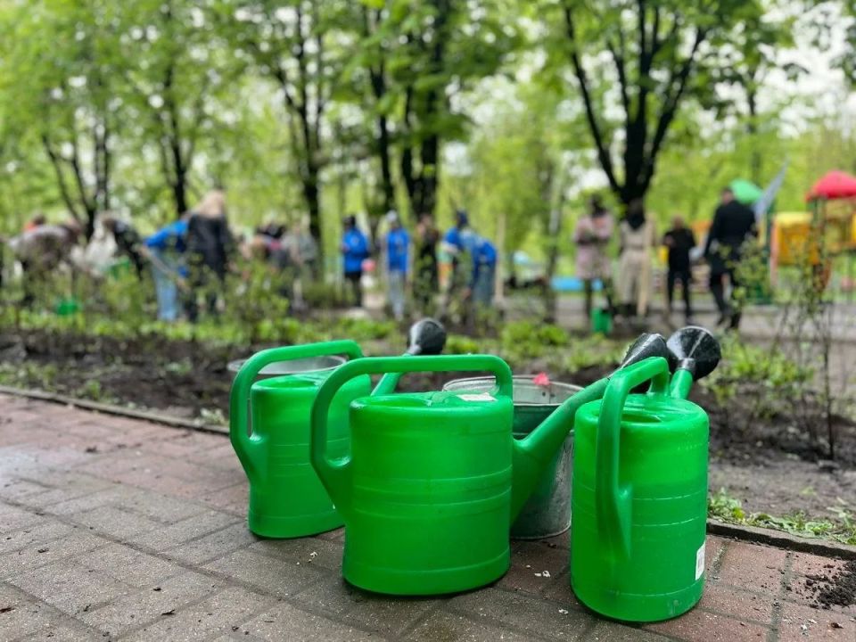 � ������ ����� ����������� 13 ������������ ��������