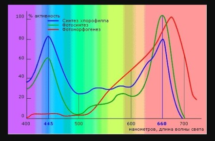 ��������� � ���������: ��� ������� ������������ ����������� ����������� ������� ����������