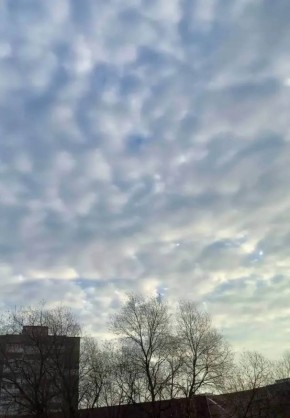 Сегодня в Калуге прогнозируют переменную облачность, без осадков