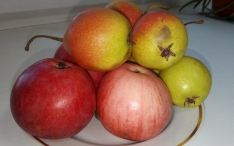 ��� ��������� ������� ����� � ������: �������� � ������������ �� ������ �����