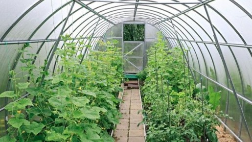 ��� ��������� ������ ������� � �������: ������� ������������ �������