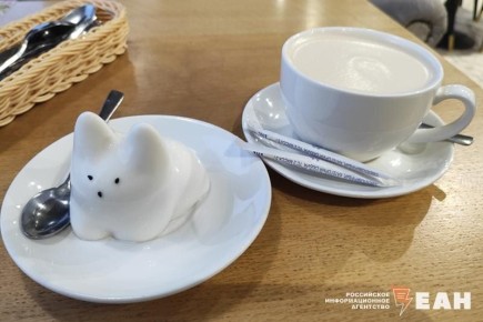 ����� ���� � ���������� ����������: ��������� ����� ��� ����� �� ������