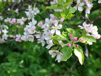 ��������� �������� ����: ��� ���� ������� �� �������� � ���