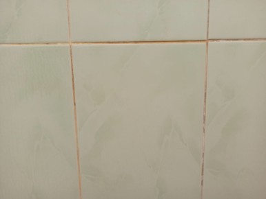 ����������� �������� ��������� ����: �� �����, � ������� ������