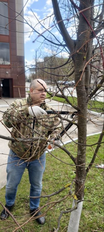 � ������������ ���������� ������ ���������