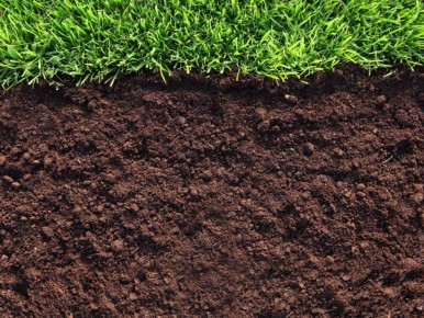 ��� �������� ����� � ���������� �����: ������� ������� ��� ������� ��������