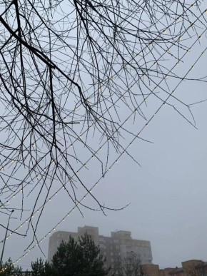 �������� � ������ ����� ���������� � �����������