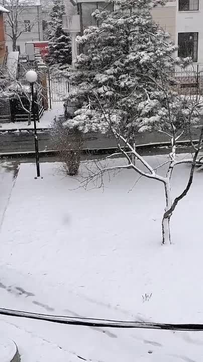 ��� ��������, � �����������