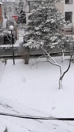 ��� ��������, � �����������