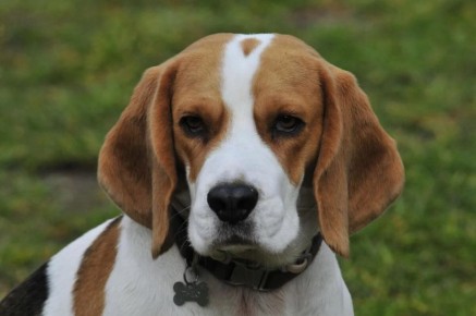 ���� ����� �����, ������� �� �������� ��� ����� � ��������