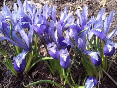 �������� ����: ����� ���������� ������ ���� � ������