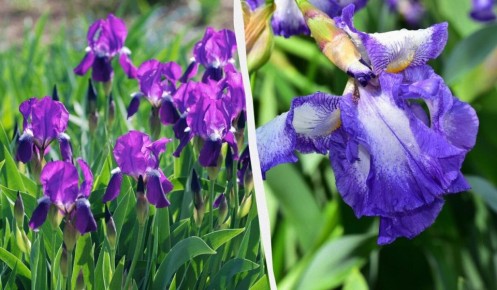 �� ������ ������: ����������� ������ ������ � �������� �����