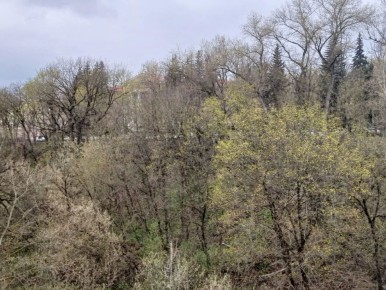 ����������� ������� � ������ ���������� ���� �����