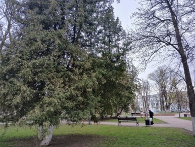 � ��������� ������� ��������� ������ �����������