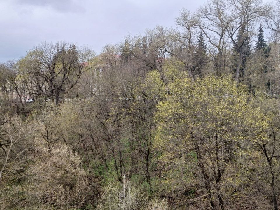 � ������ ��������� �������� ������