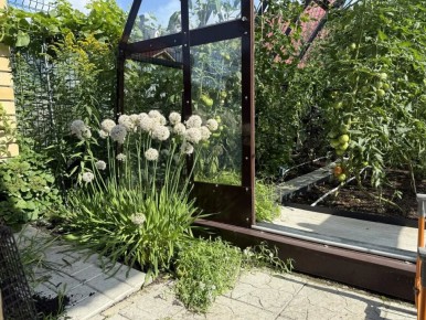 ����������� ����: �������� ������� � ������� �������