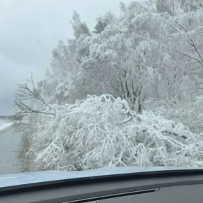 ��������� �������� ������� � ��������� �������