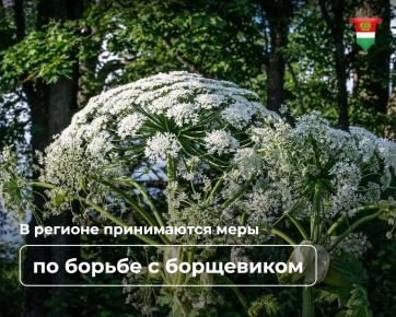 ������ � ���������� ����������� � ������� ����� ������������