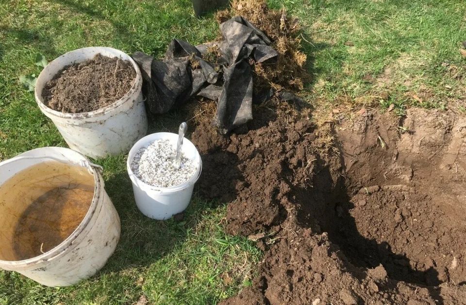 ��� ��������� ����������� ��� ��� �������� ������� ��������: ������ ������ ��� ���������