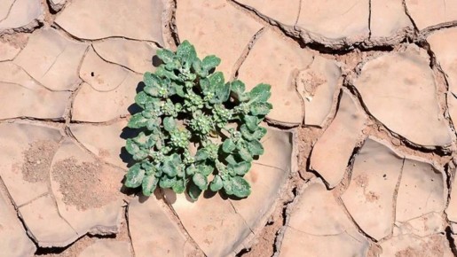 ��� �������� ������������ � ����: ������� �������������� ��������