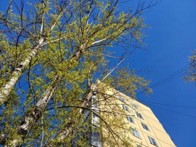 ������ ���������� ��������� � ��������� �������