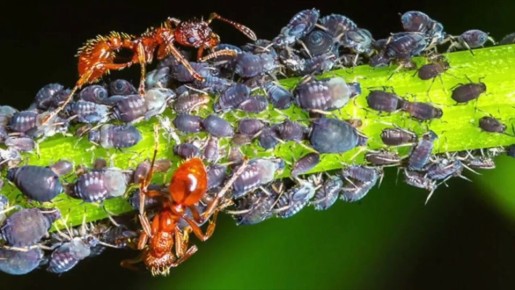 ��� ���������� � ��������� ������: 4 ������� ������ �� �������� ��������