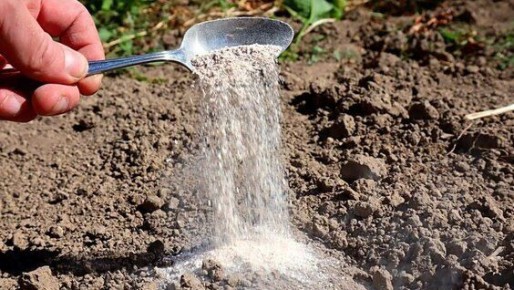 ���������� ������ � ������: ��������� ����������� ��� ������������ ������