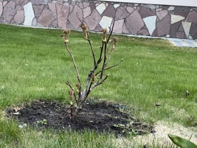 ����� ������������ �����: ��� ����� ������