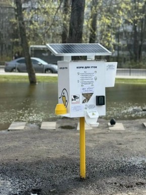 ������ ��������� ��� ���� �������