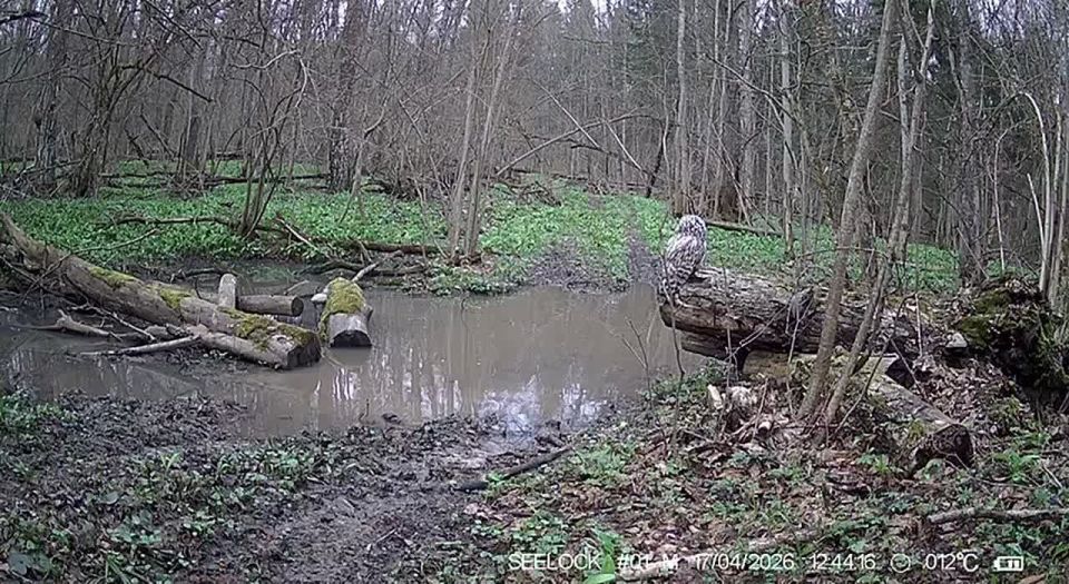 ������� ���� ������ �� ����� � ��������� ����