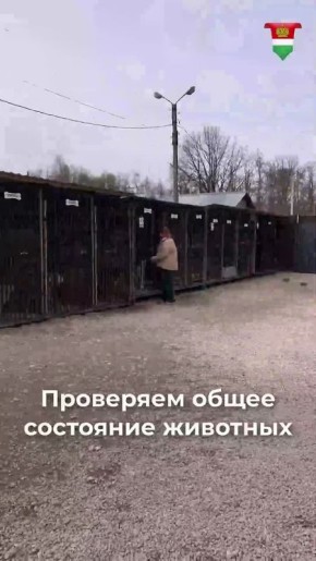 ������������ � ��� �� ��� �������� ����. ��� ��� �������� ����