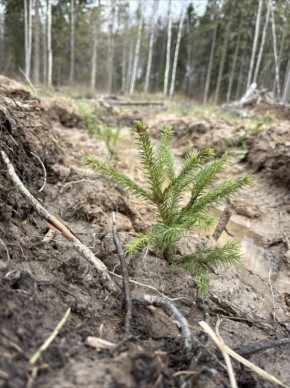 � ��������� ����������� �������� 3,5 ������ ��������