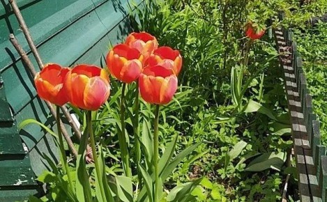 � ��������� ������� ��������� ����� � ������ ������