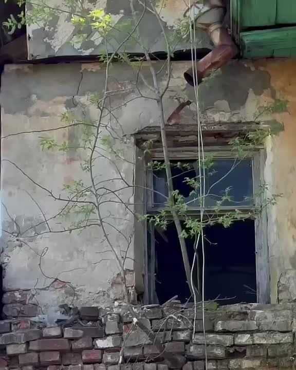 � ������ ������� ���� ��� ������ ����
