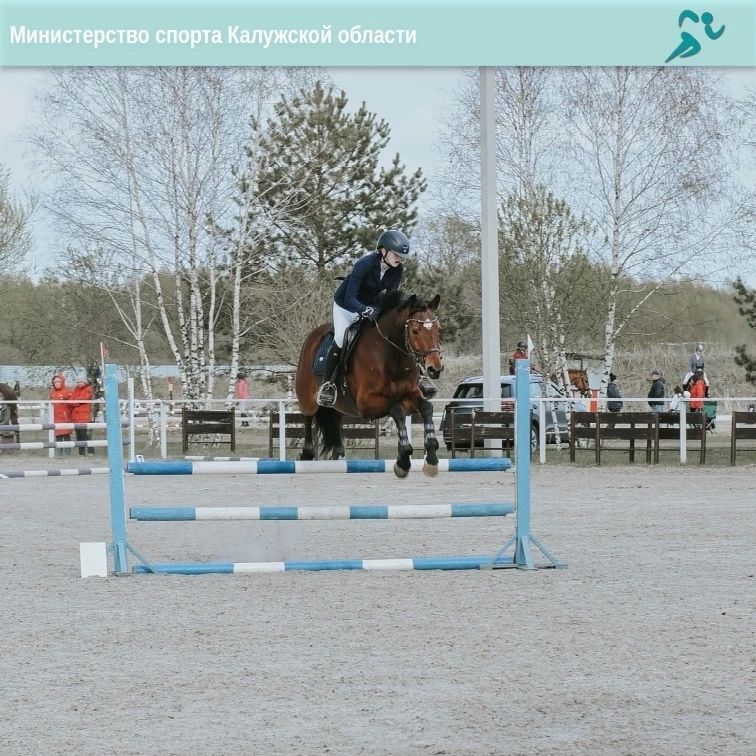 Калужские всадники выиграли медали в Брянской области