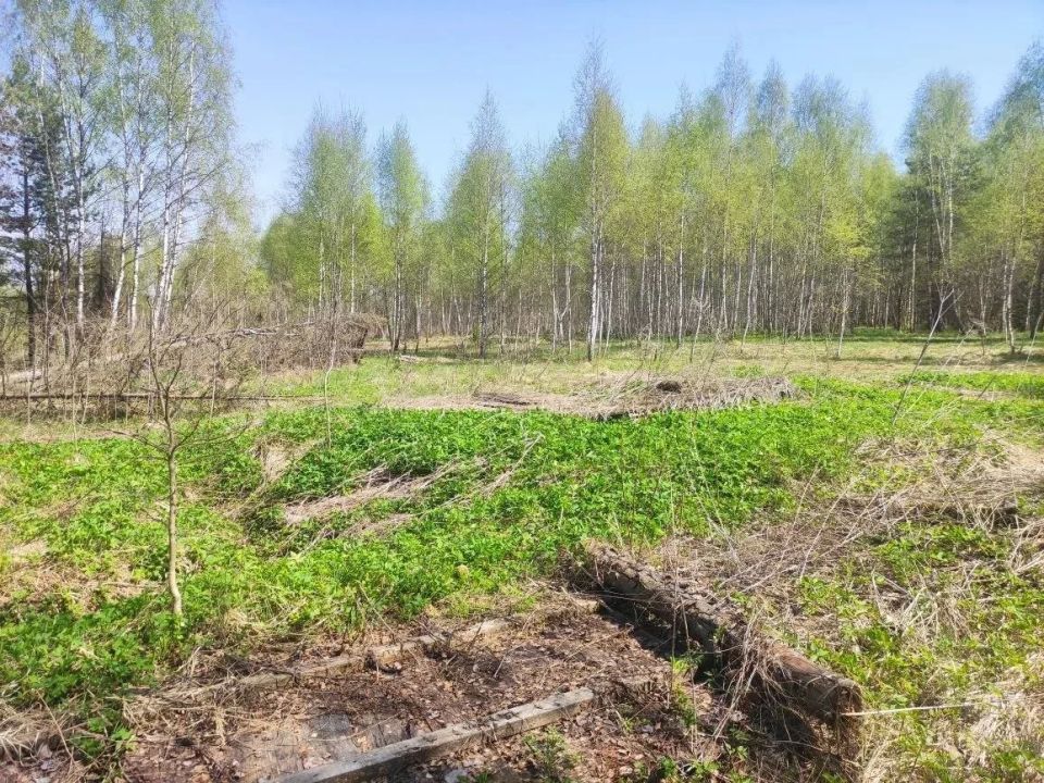 В Калужской области началась ликвидация скотомогильников