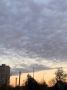 ������� � ������ ������������ ��������� ������, ��������� �����