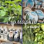 Приглашаем калужан и гостей города на традиционную ярмарку: