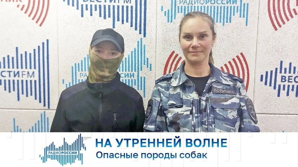 На утренней волне. Опасные породы собак