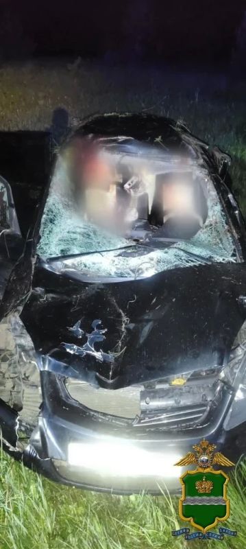 В Калужской области двое мужчин пострадали в аварии с лосём