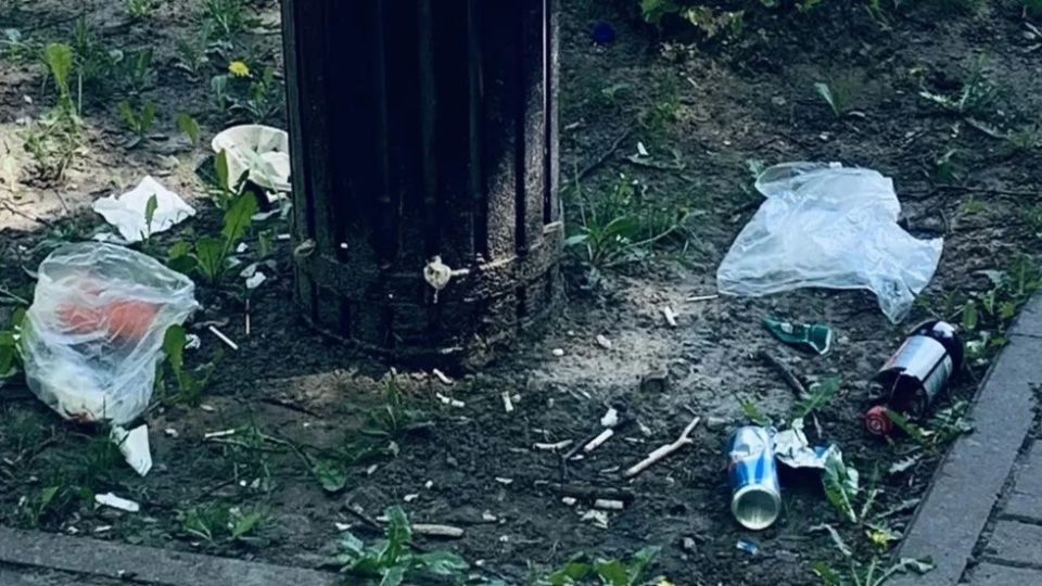 Калужанка просит навести порядок в парке Циолковского