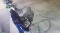 Девушка сорвала цветы с нескольких клумб в Обнинске