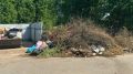 В селе Совхоз Боровский огромная крыса бегает возле мусорной площадки
