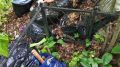 На Борщевском кладбище разрастается стихийная свалка