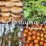 Приглашаем калужан и гостей города на традиционную ярмарку: