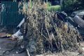 ������ ����� �� ����� ���������-������� ��������� ���� ����� �������� �������