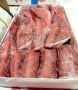 Окунь морской: свежий улов прямо к вашему столу